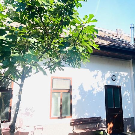 Jokai Apartman Komárno Eksteriør bilde